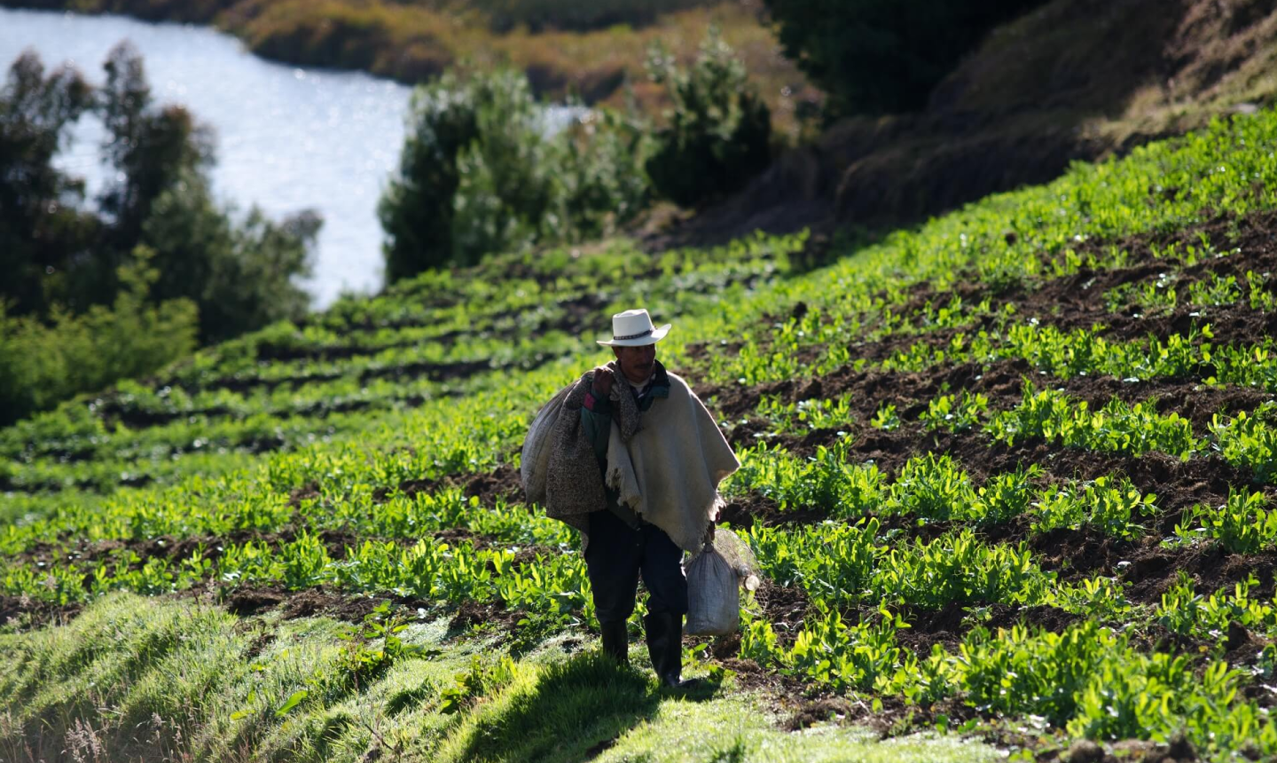 MinAgricultura alista decreto para reducir tiempo en compra de tierras para campesinos